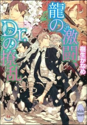 龍の激鬪,Dr.の繞亂