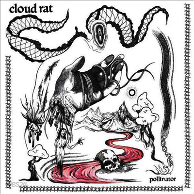 Cloud Rat - Pollinator (LP)