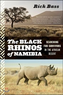 Black Rhinos of Namibia: Searching for Survivors in the African Desert