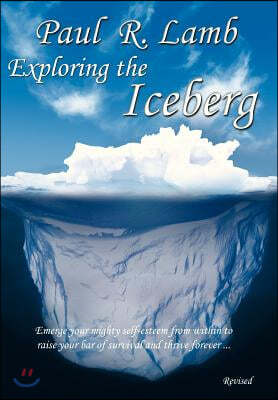 Exploring the Iceberg