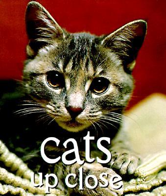 Cats Up Close: The Guide to Vintage Patterns and Clothing
