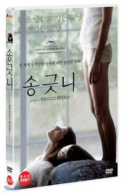 송곳니(1Disc)