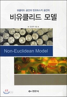 비유클리드 모델
