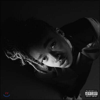 Little Simz — 3집 Grey Area 앨범 커버