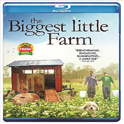 The Biggest Little Farm (  )(ѱ۹ڸ)(Blu-ray)