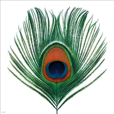 XTC — Apple Venus Volume One 앨범 커버