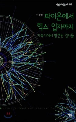파이온에서 힉스 입자까지