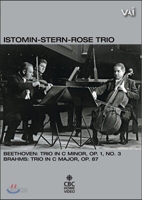 Isaac Stern / Eugene Istomin / Leonard Rose 베토벤 & 브람스: 피아노 삼중주 (Trios By Beethoven And Brahms) 이스토민-스턴-로즈 트리오