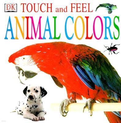 Animal Colors