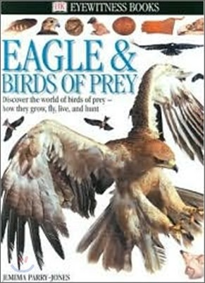 Dk Eyewitness Eagle & Birds of Prey