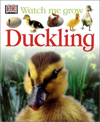 Duckling