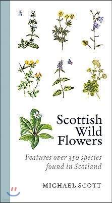 Scottish Wild Flowers