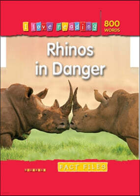 Rhinos in Danger