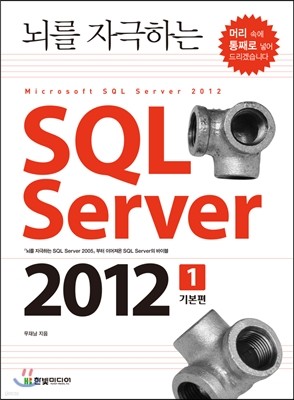 뇌를 자극하는 SQL Server 2012 1권 기본편