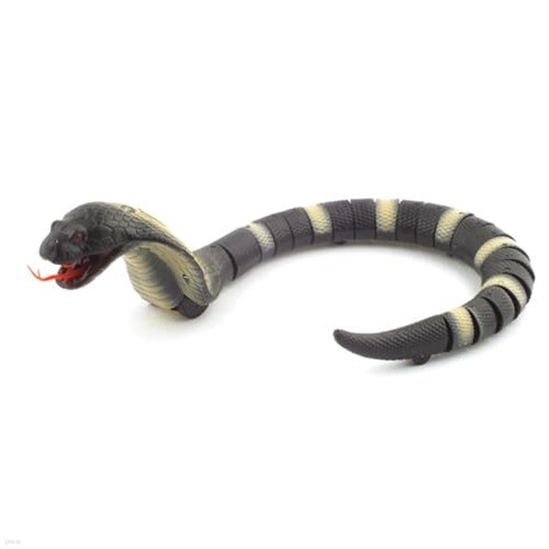 [ܼ] Giant Cobra ̾Ʈ ں RC (CBT881003BK)