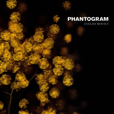 Phantogram — Eyelid Movies 앨범 커버
