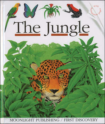 The Jungle