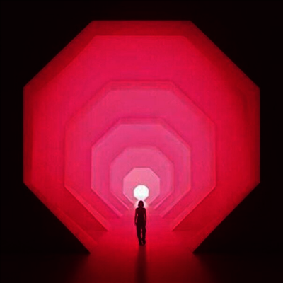 Lapalux — Amnioverse (Deluxe Edition)(MP3 Download)(Gatefold) 앨범 커버
