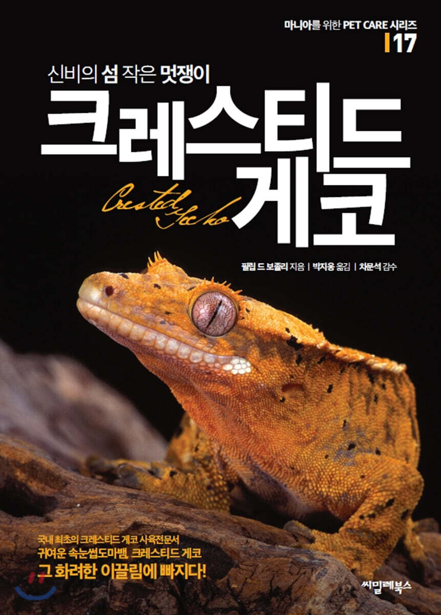 신비의 섬 작은 멋…