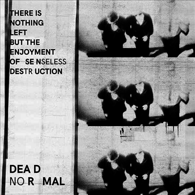 Dead Normal — There Is Nothing Left But The Enjoyment Of Senseless Destruction 앨범 커버