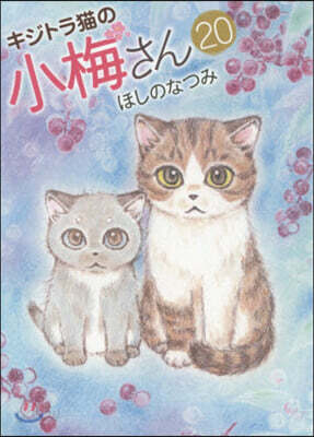 キジトラ猫の小梅さん 20
