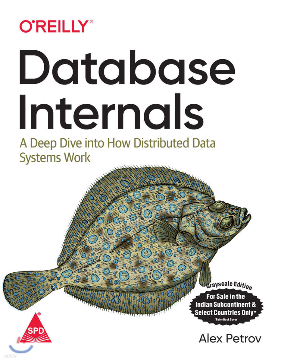 Database Internals