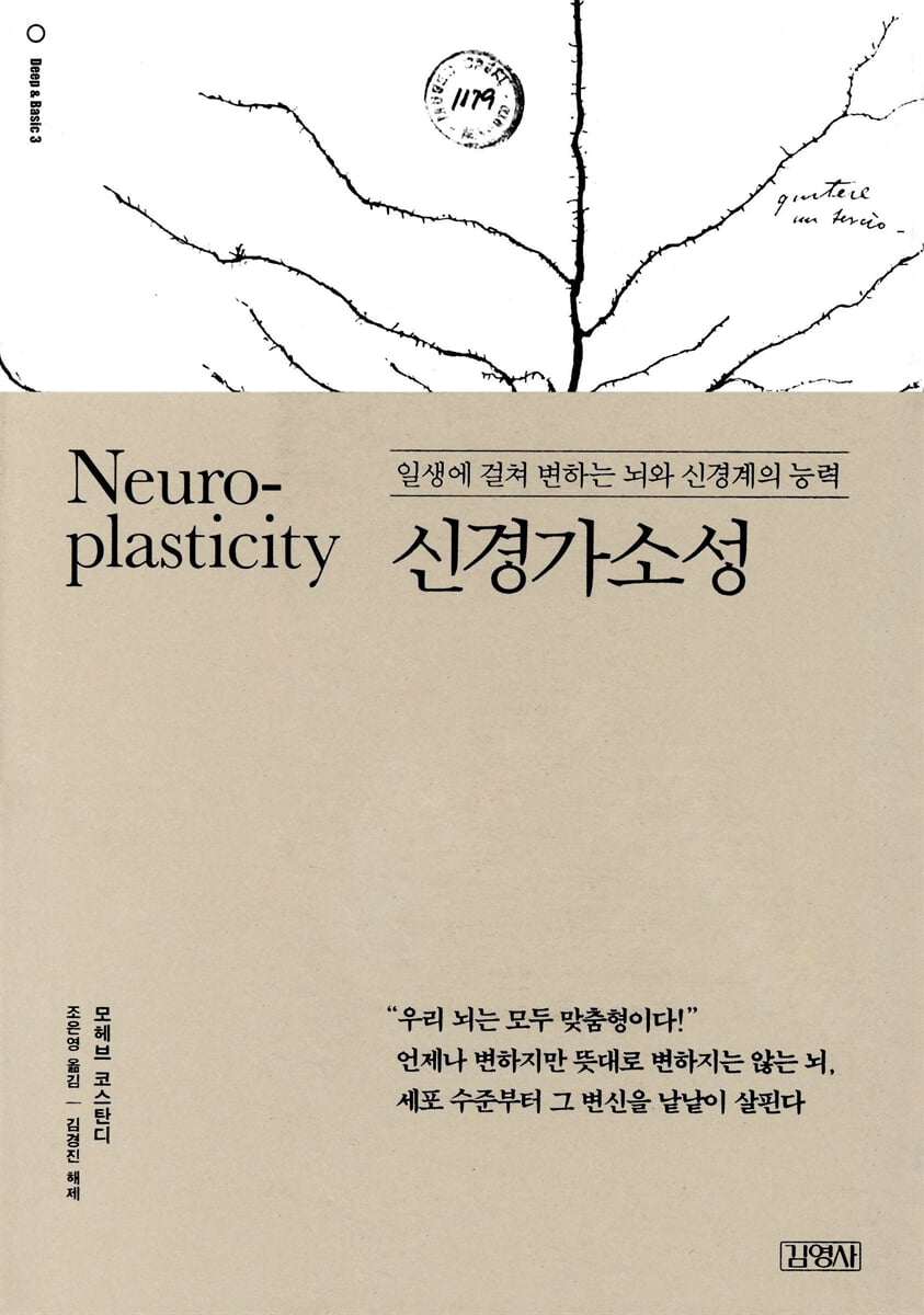 Neuroplasticity 신경가소성