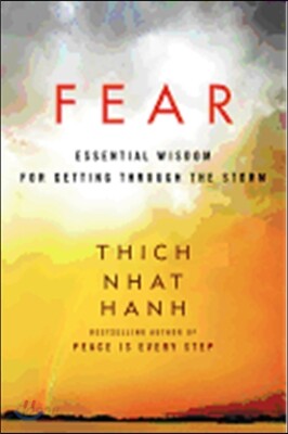 Fear: Essential Wisdom for Getting Through the Storm