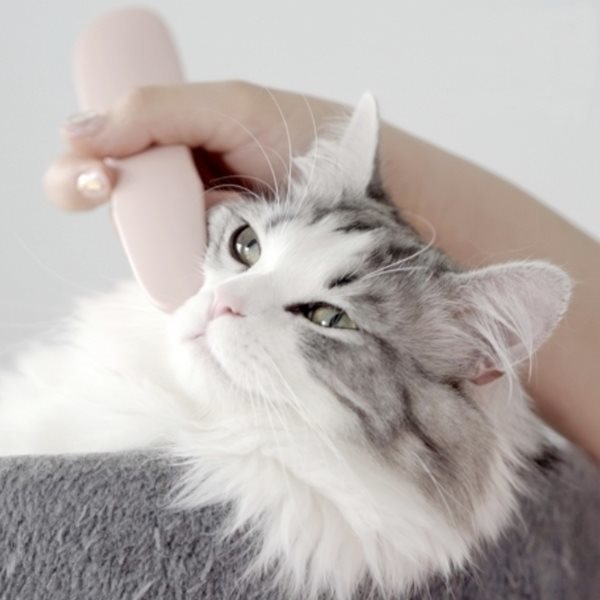 [Groomy 정품] 고양이 마사지 브러쉬 빗 반려동물 털 용품 장난감