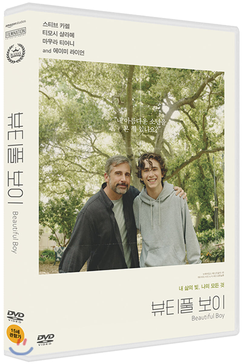 뷰티풀 보이 (1Disc, 초회한정판)