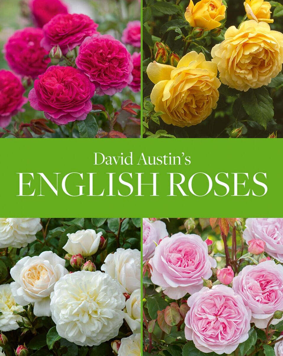 David Austin's English Roses