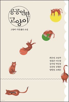 공공연한 고양이