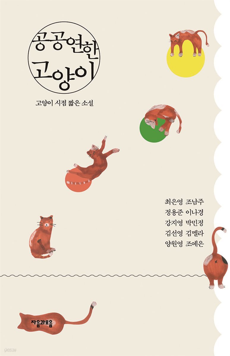 공공연한 고양이