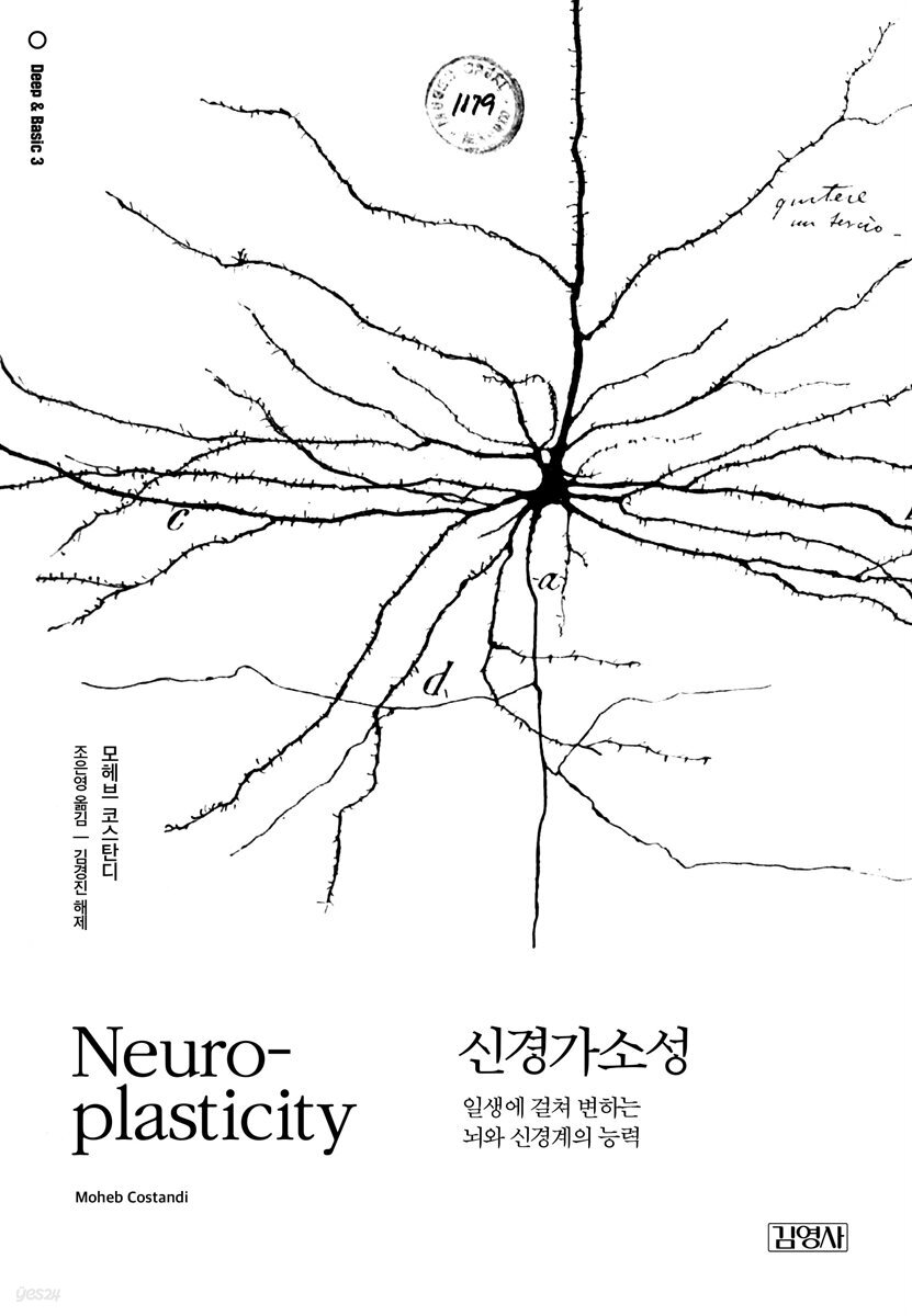 신경가소성