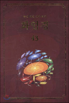 화엄경 43