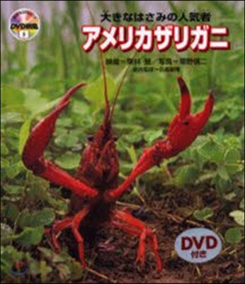 DVD圖鑑   5 アメリカザリガニ