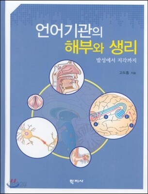 언어기관의 해부와 생리