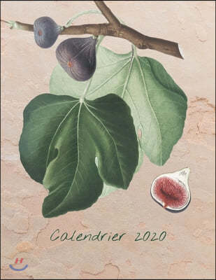 Calendrier 2020: Calendrier mensuel 2020 illustr? de fruit avec une grande image et des dates de calendrier, des espaces pour enregistr