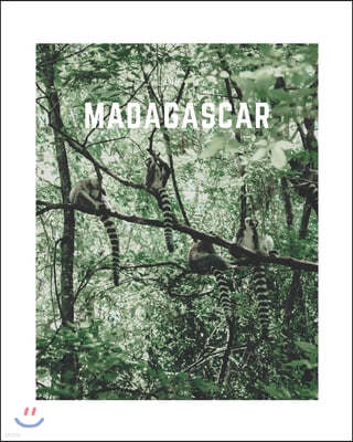 Madagascar: A Decorative Book - Perfect for Coffee Tables, Bookshelves, Interior Design & Home Staging