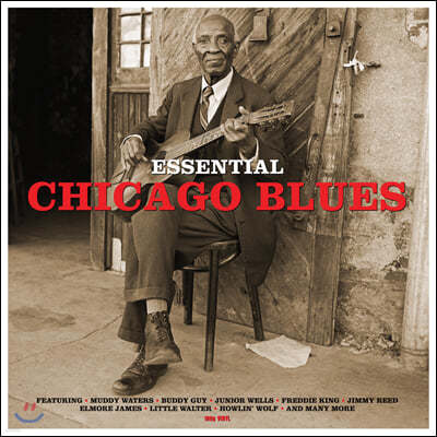 ī 罺   (Essential Chicago Blues) [LP]