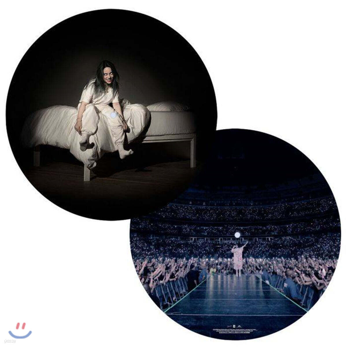 Billie Eilish (빌리 아일리시) - WHEN WE ALL FALL ASLEEP, WHERE DO WE GO? [픽쳐 디스크 LP]