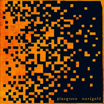 Pinegrove — Marigold 앨범 커버