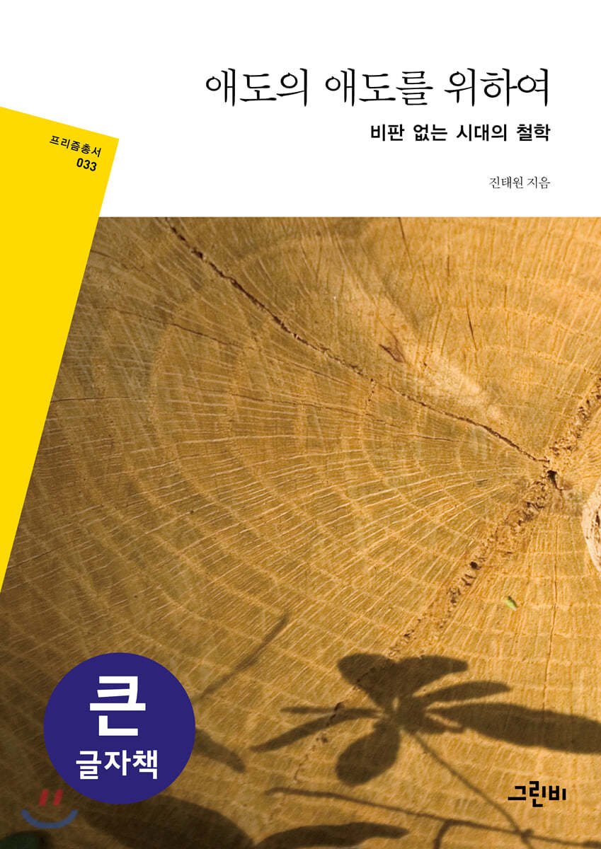 애도의 애도를 위하여 (큰글자책)