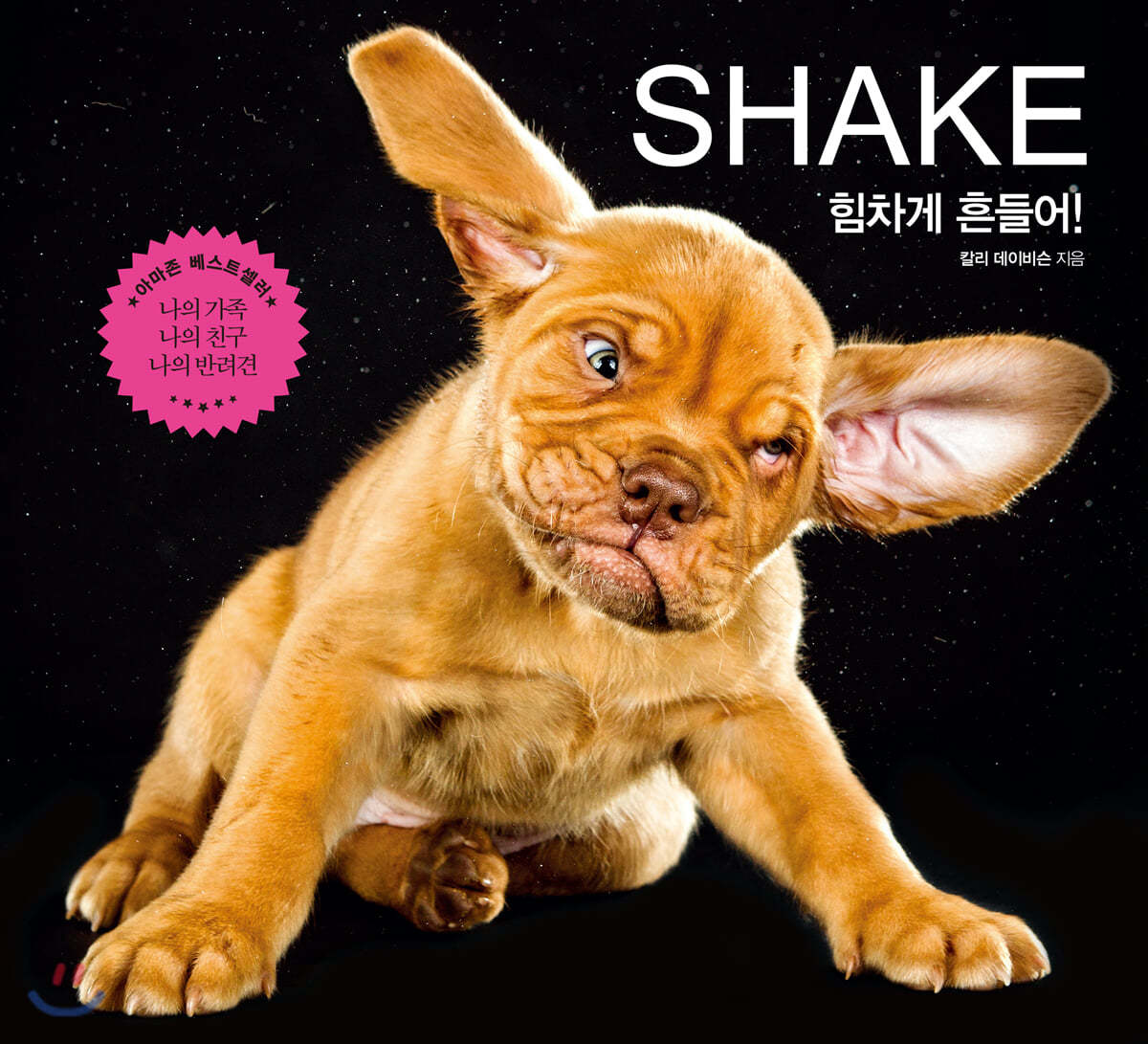 SHAKE 힘차게 흔들어!