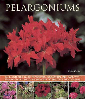 Pelargoniums: An Illustrated Guide to Varieties, Cultivation and Care, with Step-By-Step Instructions and Over 170 Beautiful Photogr