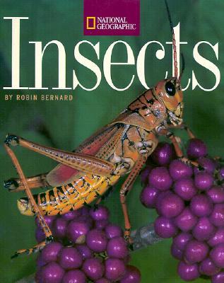 Insects