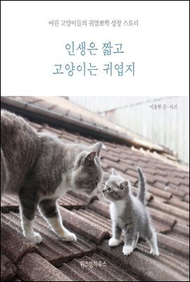 인생은 짧고 고양이는 귀엽지