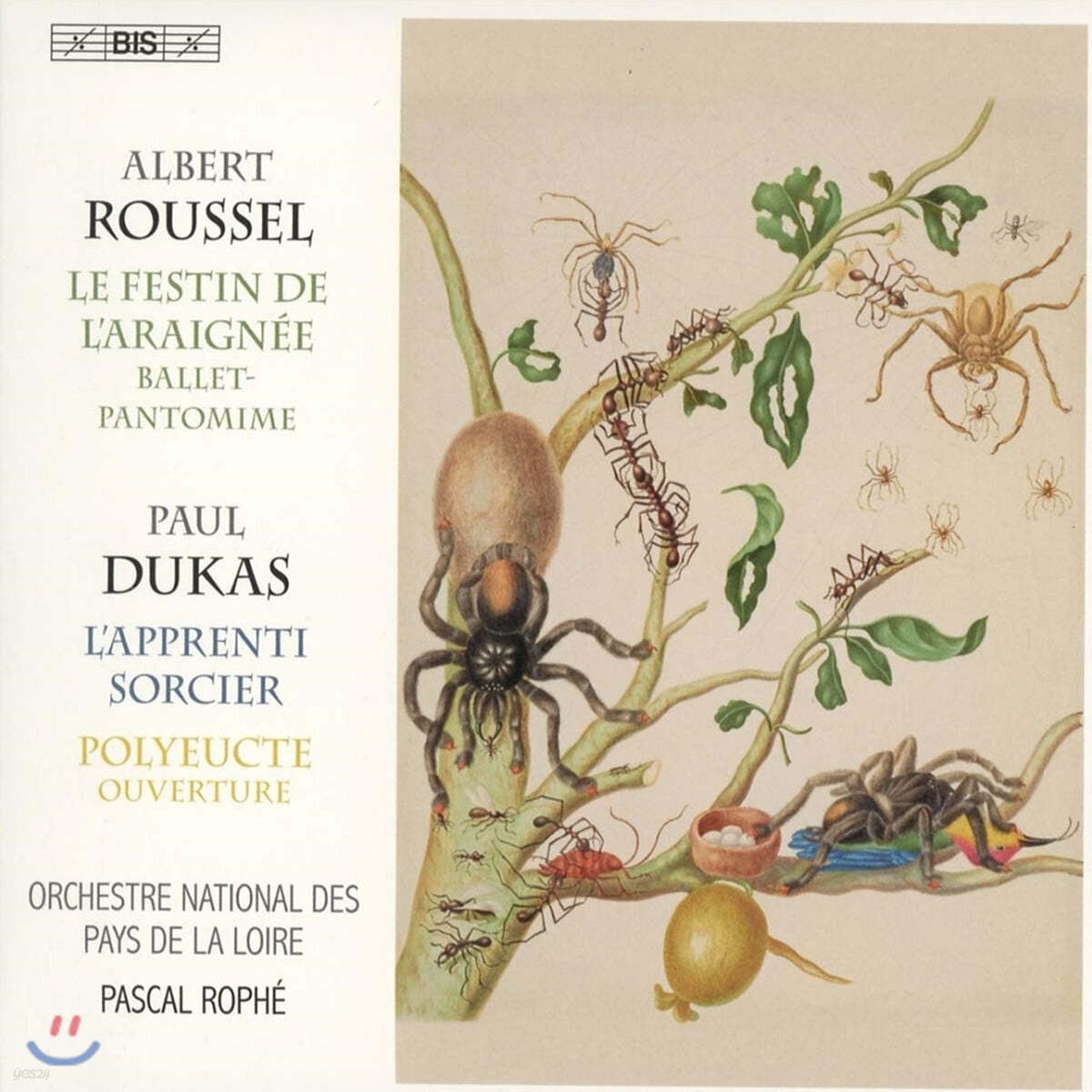 Pascal Rophe 폴 뒤카: 폴리왹트 서곡, 마법사의 제자, 오케스트라를 위한 스케르쪼 / 알베르 루셀: 거미의 향연