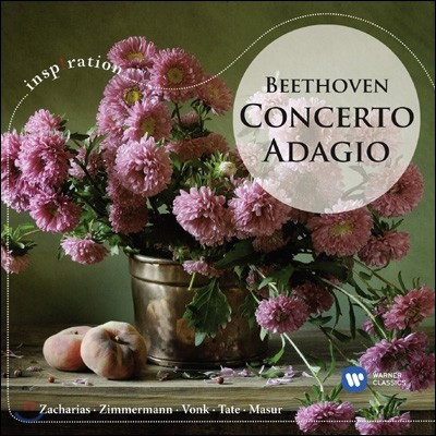νǷ̼ - 亥 ְ ƴ (Beethoven: Concerto Adagio)