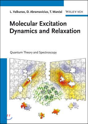 Molecular Excitation Dynamics and Relaxation